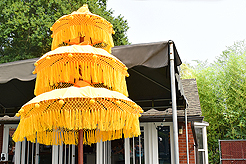 DAYLIGHT, DARK NIGHT AND BLUE SKIES WITH PAPA BUENO